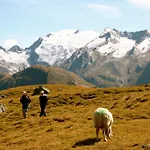 لارشنهوف ناتور فندق