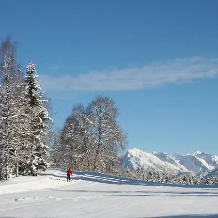 Hotel Laerchenhof 4*